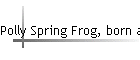 Polly Spring Frog, born abt 1855