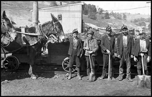 Tipple Boy and Drivers - San Lick Mine - Grafton - West Virginia - 1908